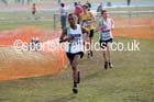 Boys under-13s 2016 Inter Counties Cross Country Champs. and Cross Challenge Final, Cofton Park, Birmingham. Photo: David T. Hewitson/Sports for All Pics